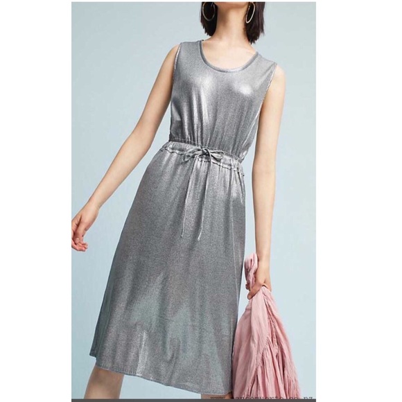 coast silver dress